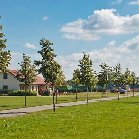 Ferienwohnung Hof Maiweg Alt Schonau Zewnętrze zdjęcie