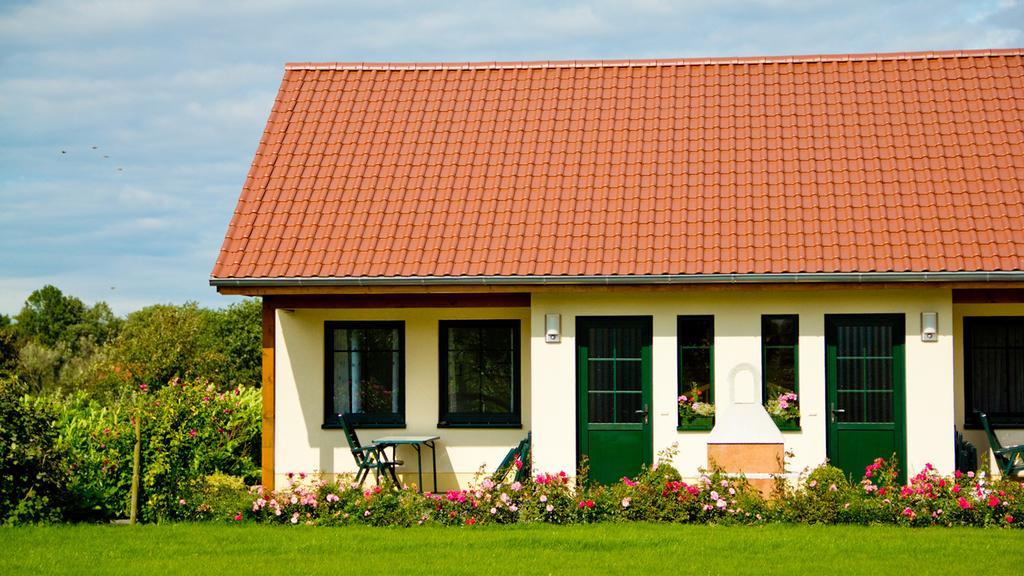 Ferienwohnung Hof Maiweg Alt Schonau Zewnętrze zdjęcie