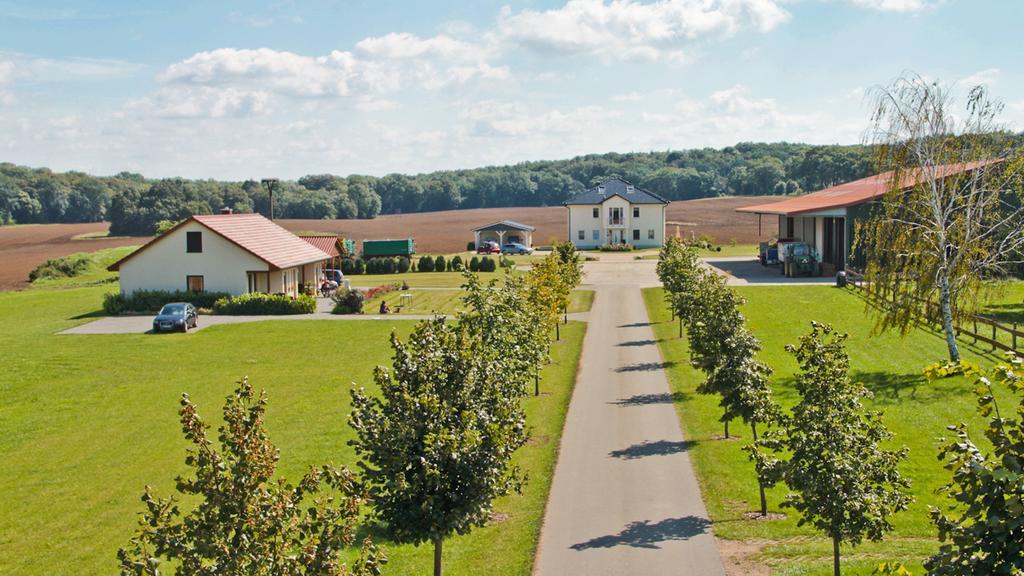 Ferienwohnung Hof Maiweg Alt Schonau Zewnętrze zdjęcie